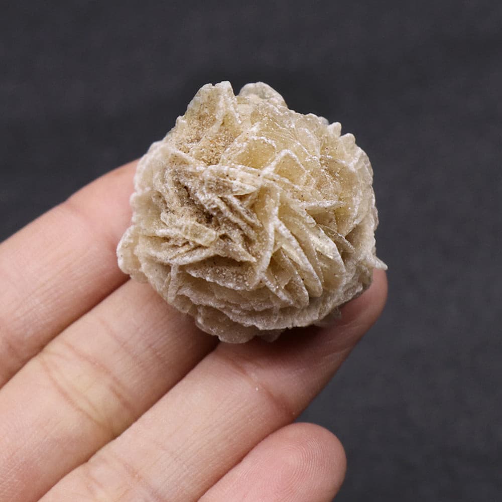 Desert Rose Selenite Stone Natural Quartz Crystal Reiki Healing Gem.