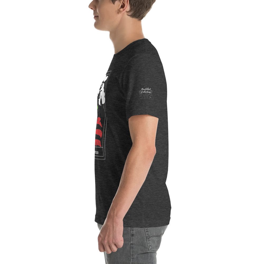 The Boricua Unisex t-shirt.