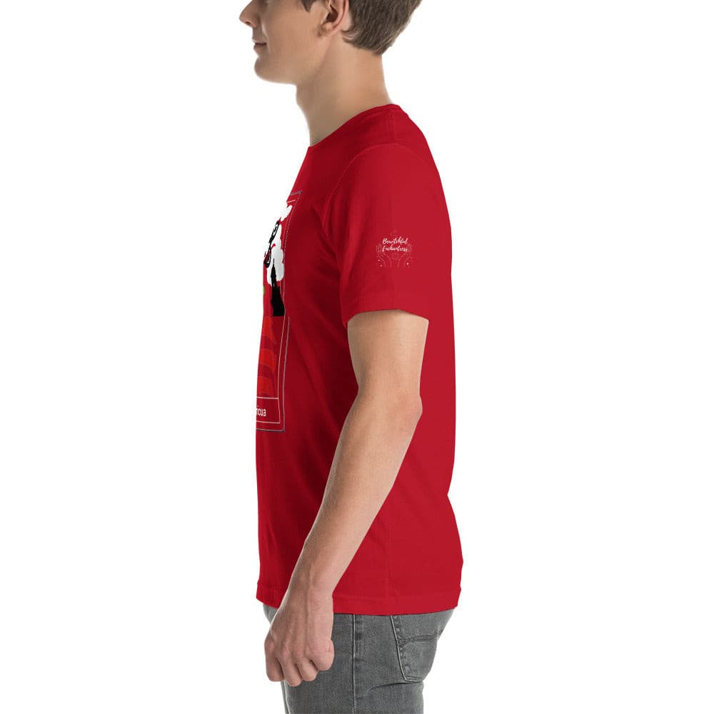 The Boricua Unisex t-shirt.